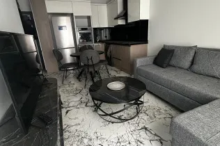 Stylish apartment with furniture and appliances in the Oba area