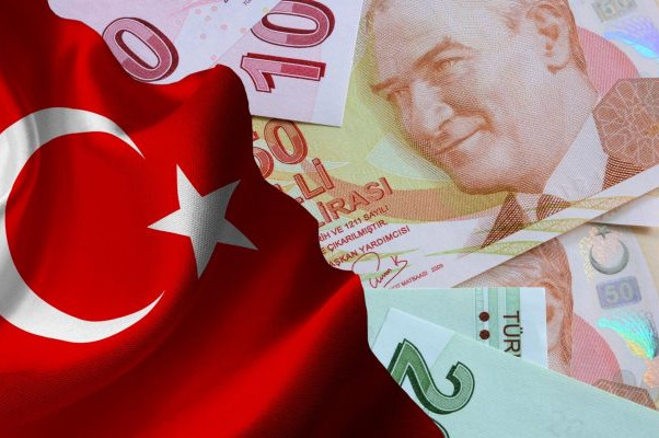 Get Your Tax ID number in Turkey